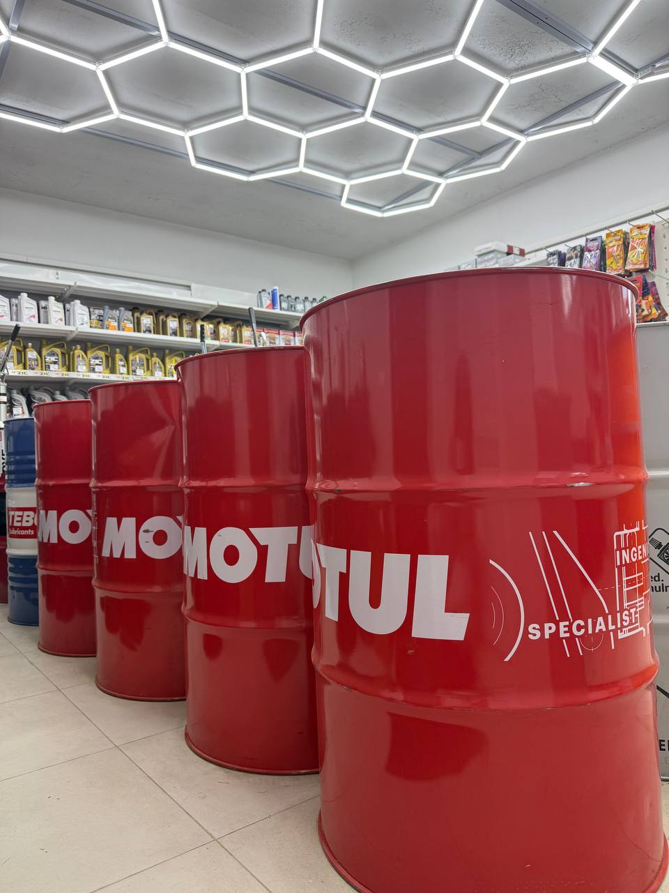 photo_2025-04-03_16-58-37